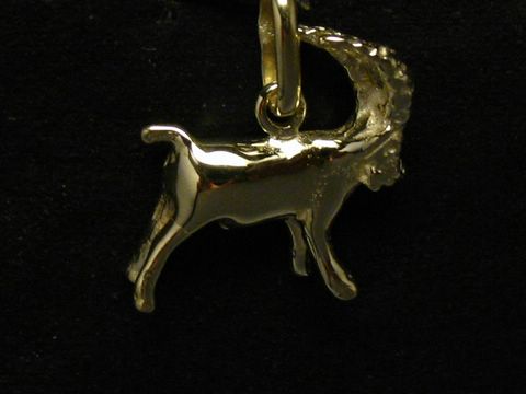 Gold Sternzeichen Steinbock - Tierkreiszeichen Anhänger