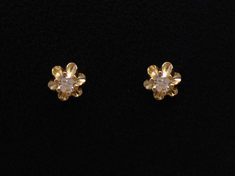 Ohrringe Diamant 0,06 ct. W/P - BLÜTE Gold 585