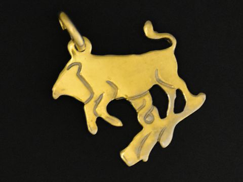 Stier - Anhänger Gold 333 - Sternzeichen - plastisch flach