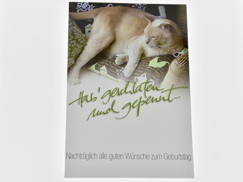 Geburtstagskarte - Schlafende Katze auf Kissen