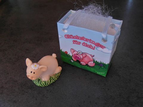 Schweinchen - Glücksschweinchen mit Geschenktasche - liegend
