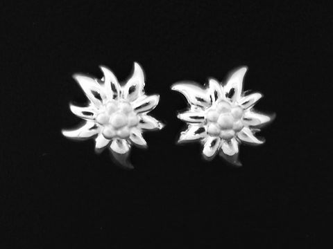 Edelweiß Blume Ohrstecker - charmant - Sterling Silber