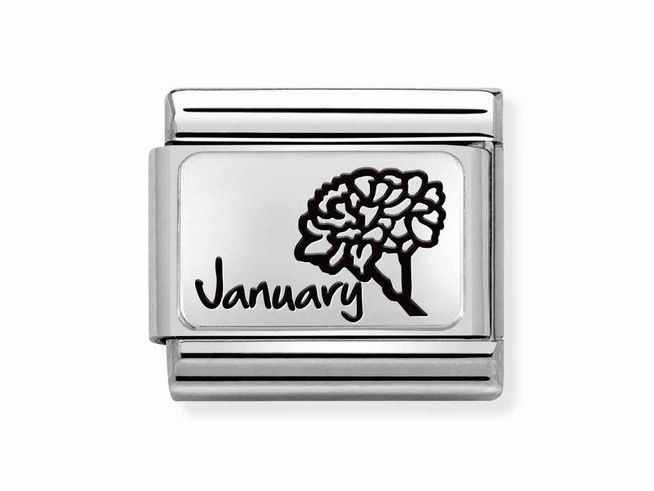 Nomination Classic Silber 330112 13 - Edelstahl - Sterling Silber charm - Monatsblumen Januar