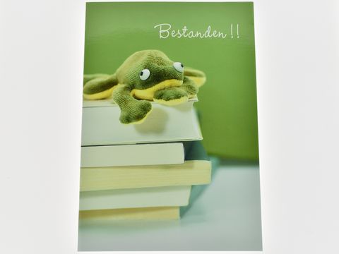 Glückwunschkarte - Plüschfrosch auf Bücherstapel