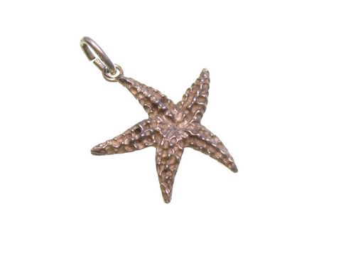 Seestern -Silber Anhänger- STAR 22 x 19 mm