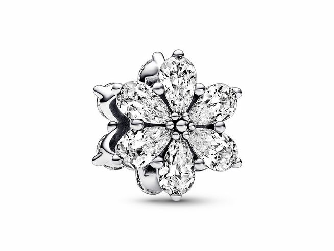 Pandora 792623C01 Funkelndes Herbarium Cluster Charm - Sterling Silber