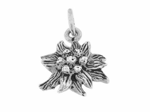 Blume Edelweiß - Anhänger - Echt Silber - nobel - ca. 1,4 cm